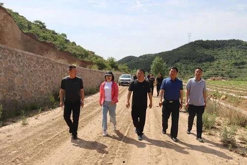 长垣吃瓜事件后续进展,追踪后续发展及社会反响