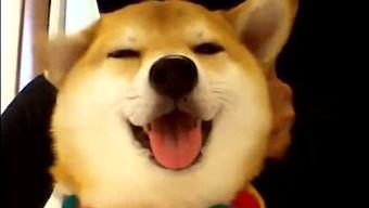 趣味吃瓜侠,揭秘娱乐圈那些鲜为人知的幕后故事