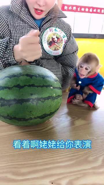 姥姥在家吃瓜,姥姥家的夏日瓜香时光