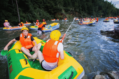 五龙吃瓜,瓜界风云再起