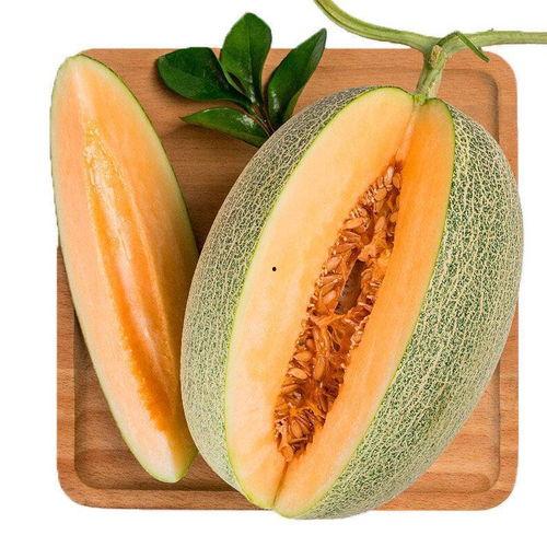 吃小蜜瓜的文案搞笑,吃瓜群众欢乐多，甜蜜瞬间笑翻天