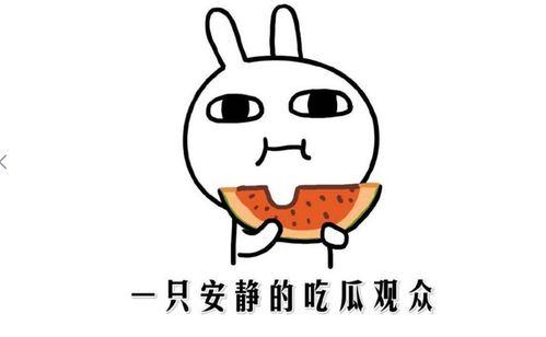 在线吃瓜什么意思,揭秘“在线吃瓜”现象背后的文化内涵