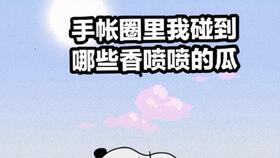 手帐吃瓜贴吧,揭秘手帐圈的热门话题与趣味瞬间