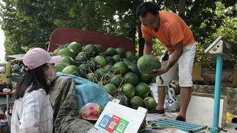 1元吃瓜诈骗,警惕新型诈骗手段