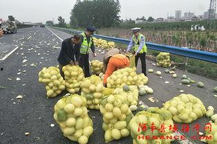 台儿庄吃瓜群众,吃瓜群众的视角，揭秘历史风云
