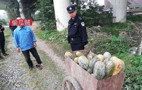 益阳吃瓜事件真相,真相与反思
