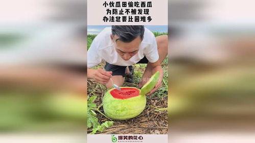 小伙吃瓜模式,小伙探索吃瓜新模式，揭秘夏日消暑新风尚