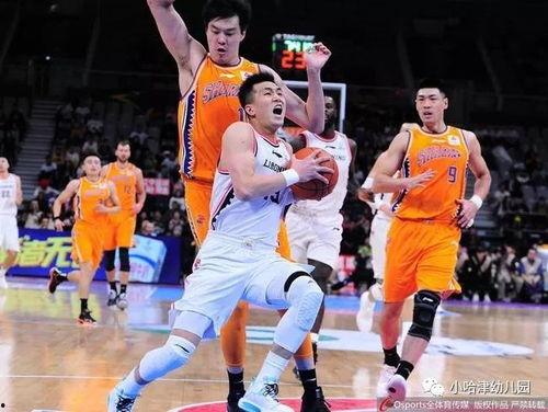 23-24赛季CBA常规赛第18轮：上海vs辽宁,上海险胜辽宁，惊心动魄的较量！