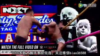 美国职业摔跤 第三十三季,激情再燃，传奇续写