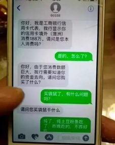 开局套路骗子对方吓得要报警,对方吓得要报警！揭秘网络诈骗背后的惊险一幕